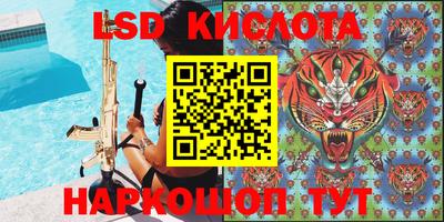 прущие грибы Пенза