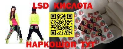прущие грибы Пенза