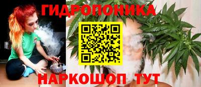 прущие грибы Пенза