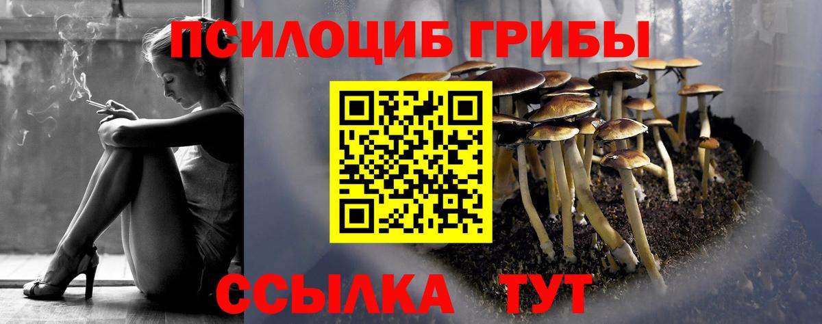 Псилоцибиновые грибы мухоморы  Вход с VPN  Псилоцибиновые грибы GOLDEN TEACHER  Нефтекамск 